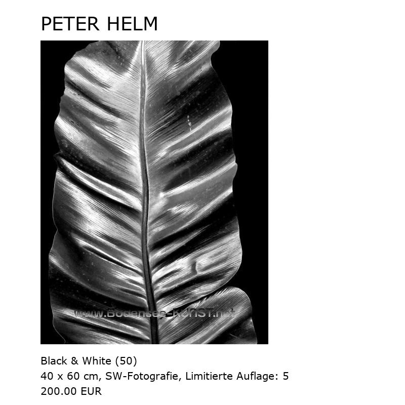 PETER HELM