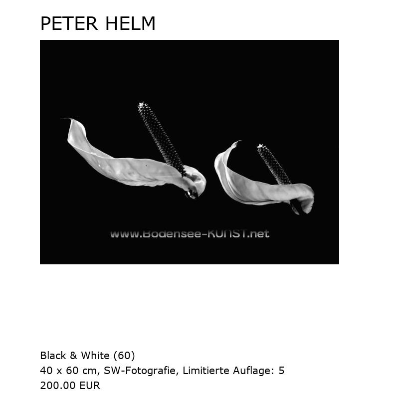 PETER HELM