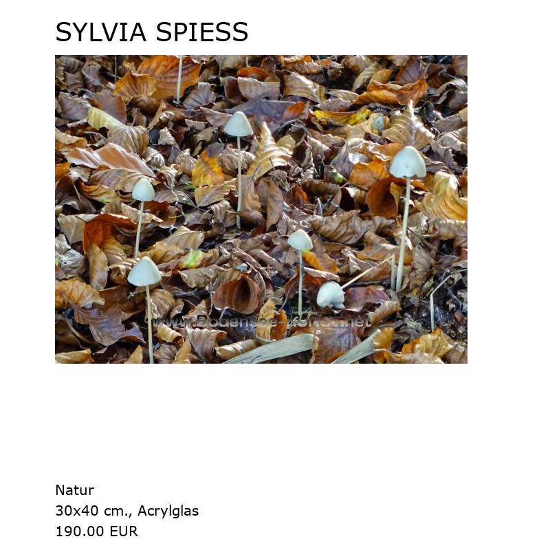 SYLVIA SPIESS